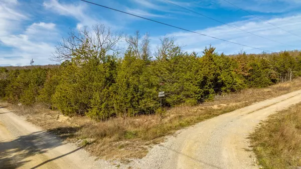 Yellville, AR 72687,Lot 16 Bennet Acres