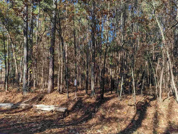 Camden, AR 71701,Ouachita 387 Road