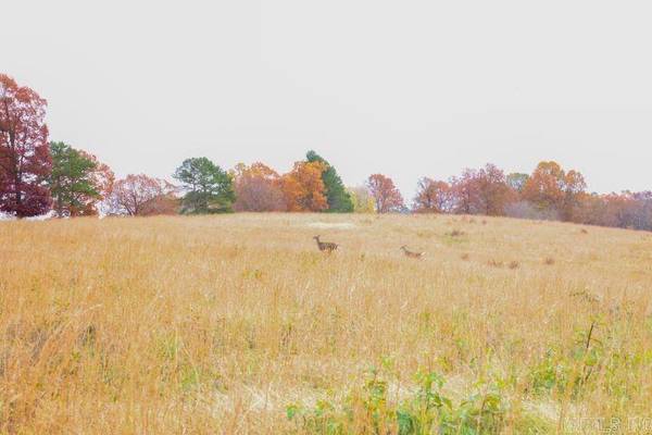 Banks Road, Hardy, AR 72542