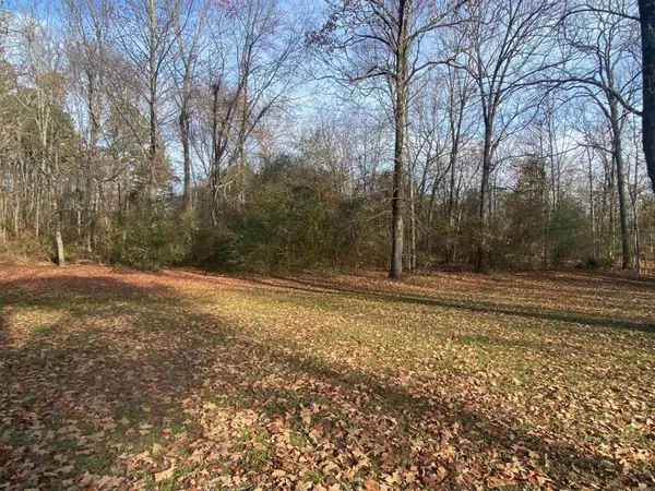 Mount Ida, AR 71957,530 South Drive
