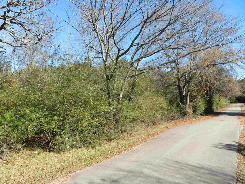 Near Corner W Dodson & Ringo Road, Caddo Valley, AR 71923-2921