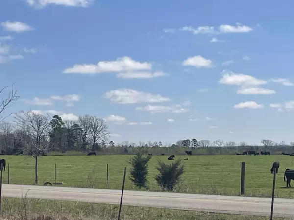 Quitman, AR 72131,935 lot 12 goff Road