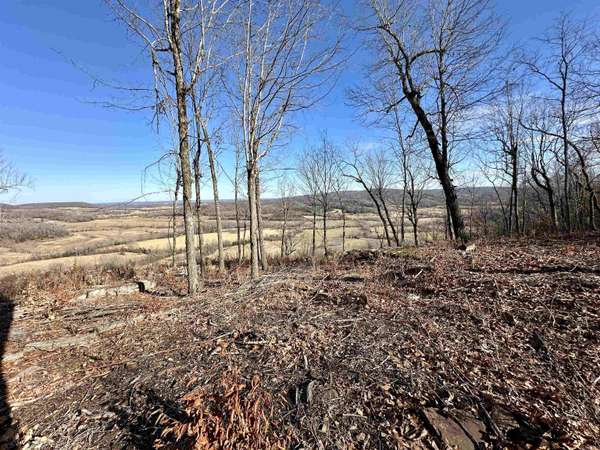 Tract #4 South Mountain Road, Marshall, AR 72650