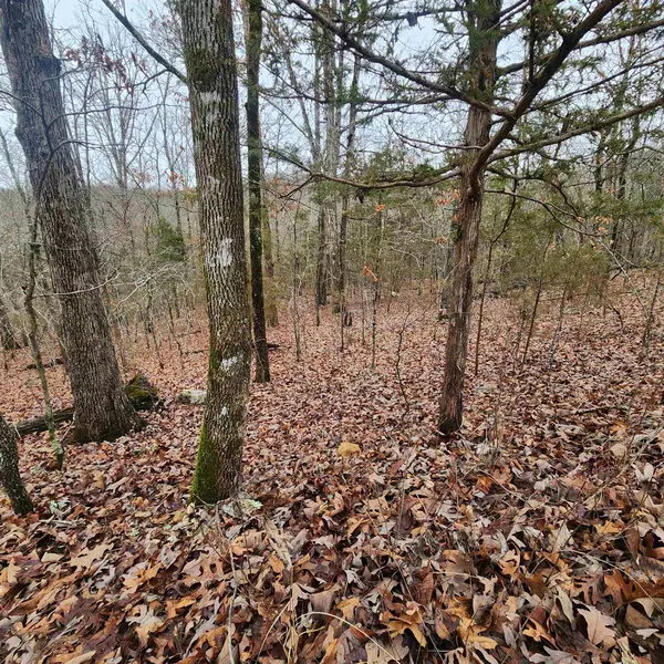 Cherokee Village, AR 72529,L-30 B-1 Sioux Drive