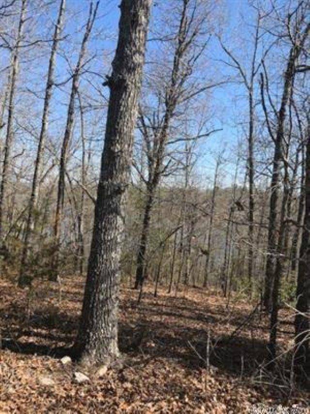 Cherokee Village, AR 72529,Lots 9 & 10 Monongahela Drive