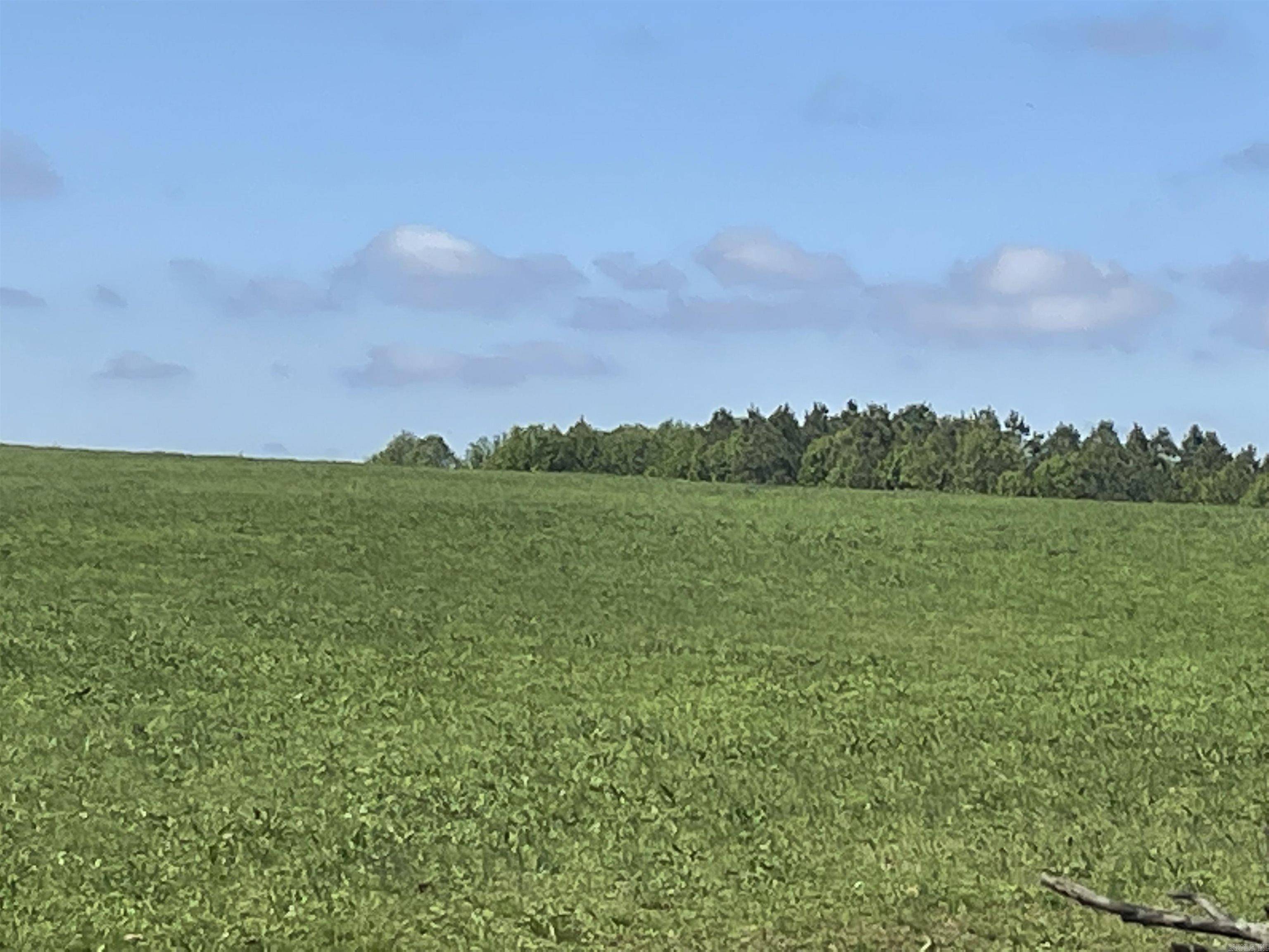 Quitman, AR 72131,935 lot 7 goff Road