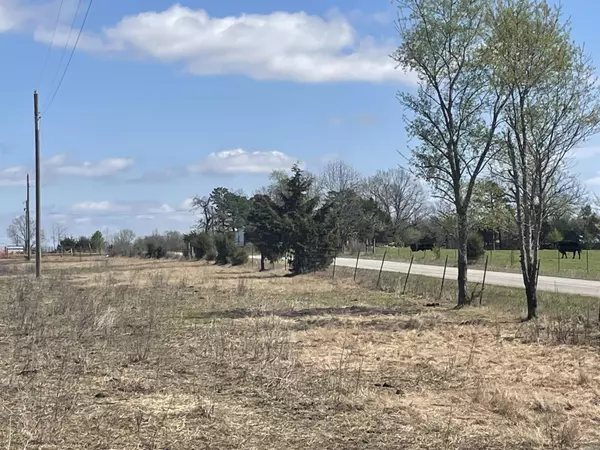 Quitman, AR 72131,935 lot 19 goff Road