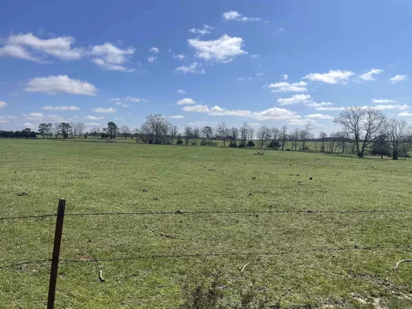 Quitman, AR 72131,935 lot 23 goff Road
