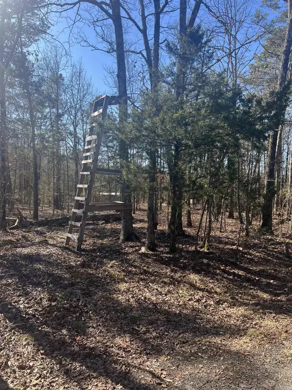 Higden, AR 72067,Lot 5 Ellen Lane