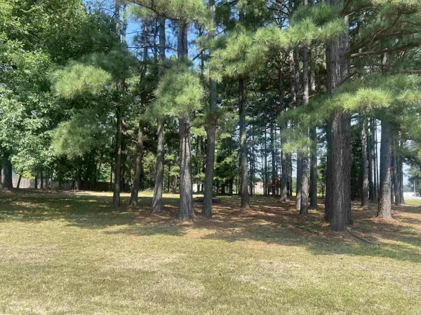 White Hall, AR 71602,0 Michael Ann