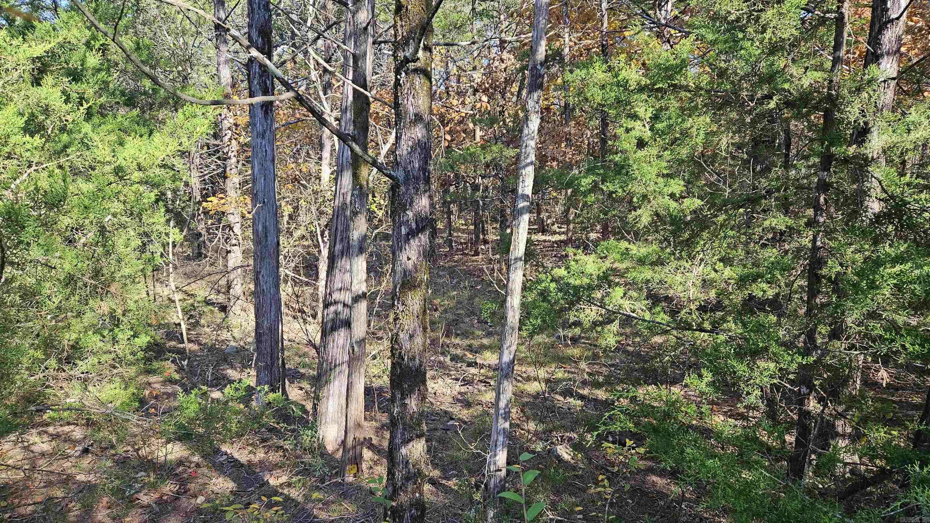 Diamond City, AR 72630,Address not disclosed