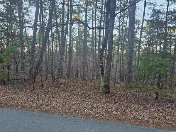 Hot Springs Village, AR 71909,82 Biarritz Way