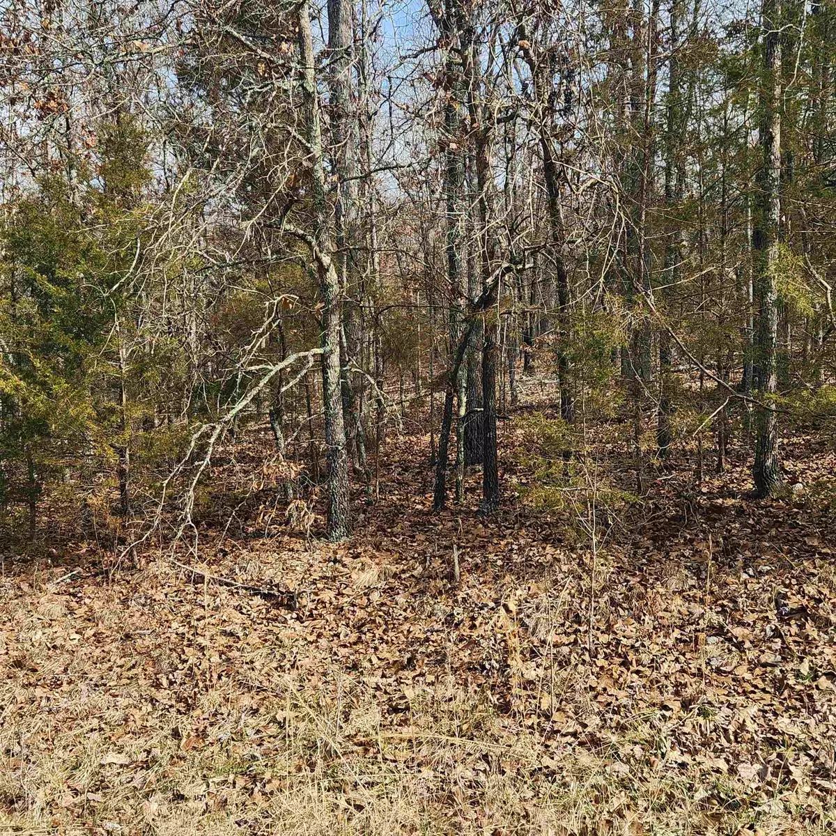 Cherokee Village, AR 72529,L10 B02 Awi Trail