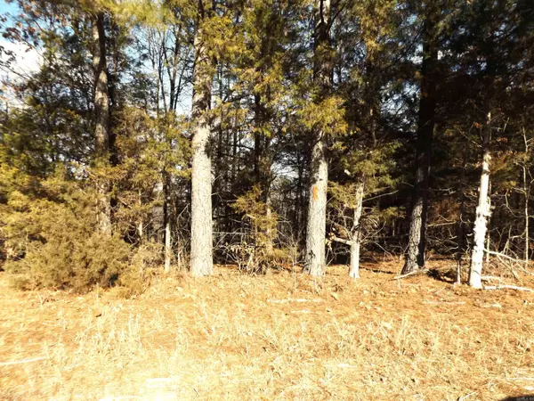 Cherokee Village, AR 72529,Address not disclosed