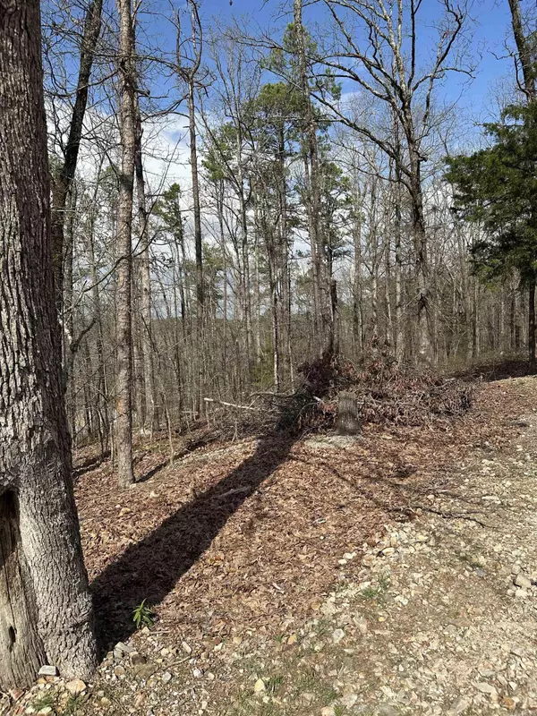 Hot Springs, AR 71901-9999,255 Gilmer Lane