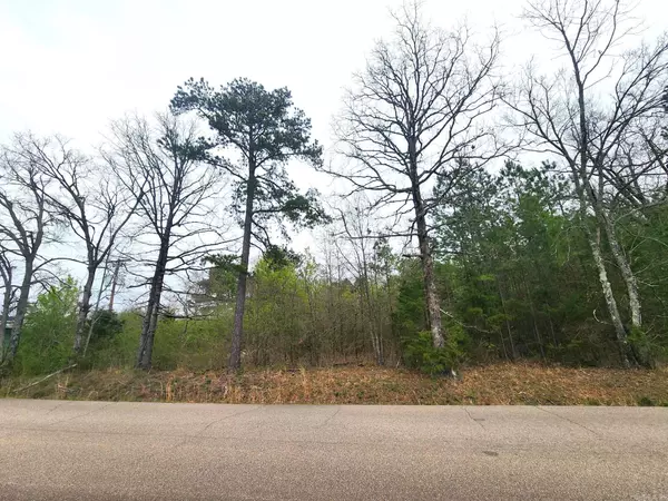 TBD S Reine Street, Mena, AR 71953