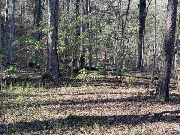 Quitman, AR 72131,00 Majors Cove