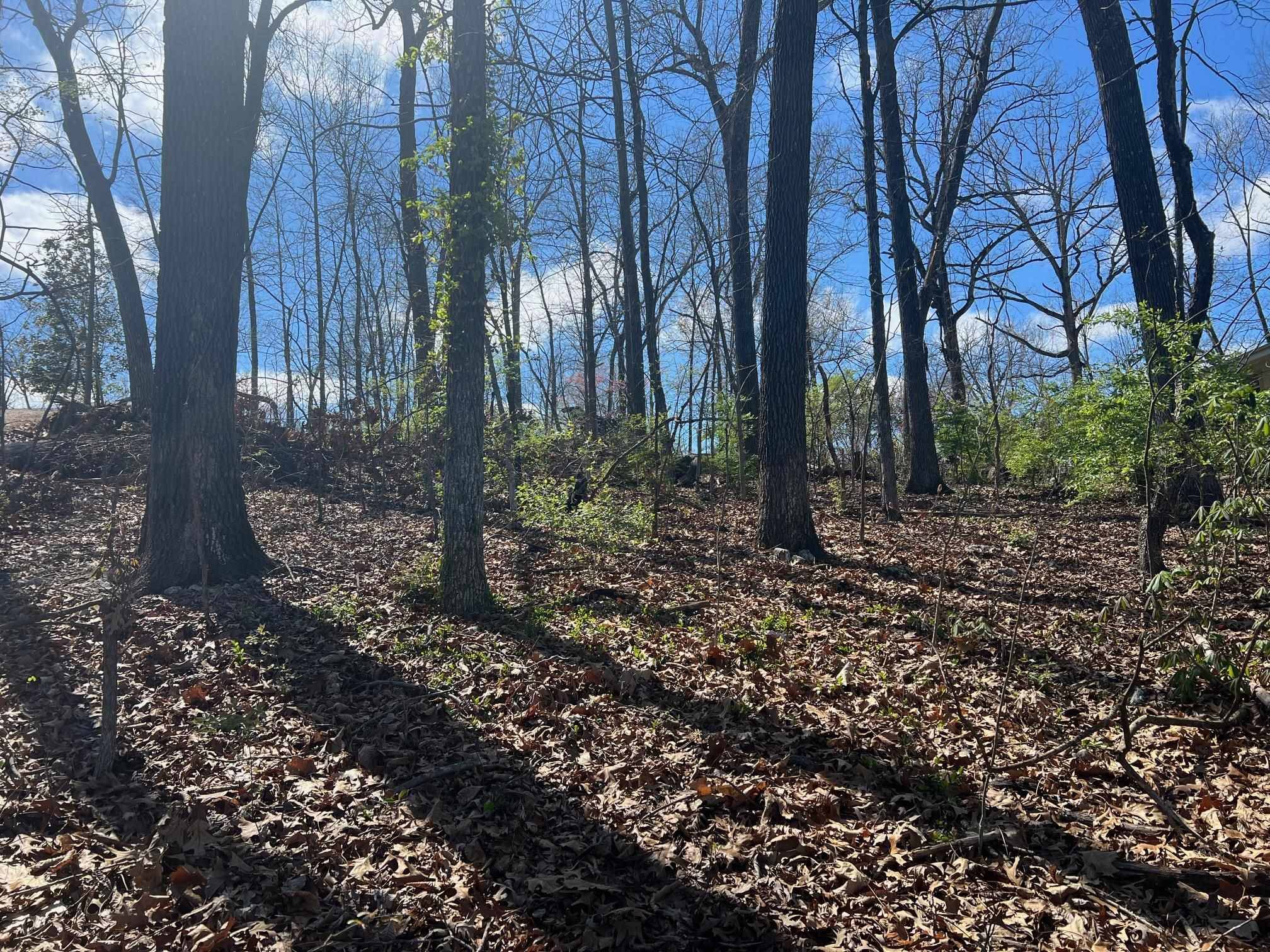 Cherokee Village, AR 72529,XXX Saginaw Circle