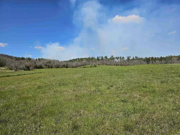 Hwy 88, Oden, AR 71961