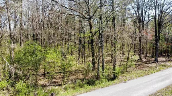 Little Rock, AR 72209,11.08 acres Margo Lane