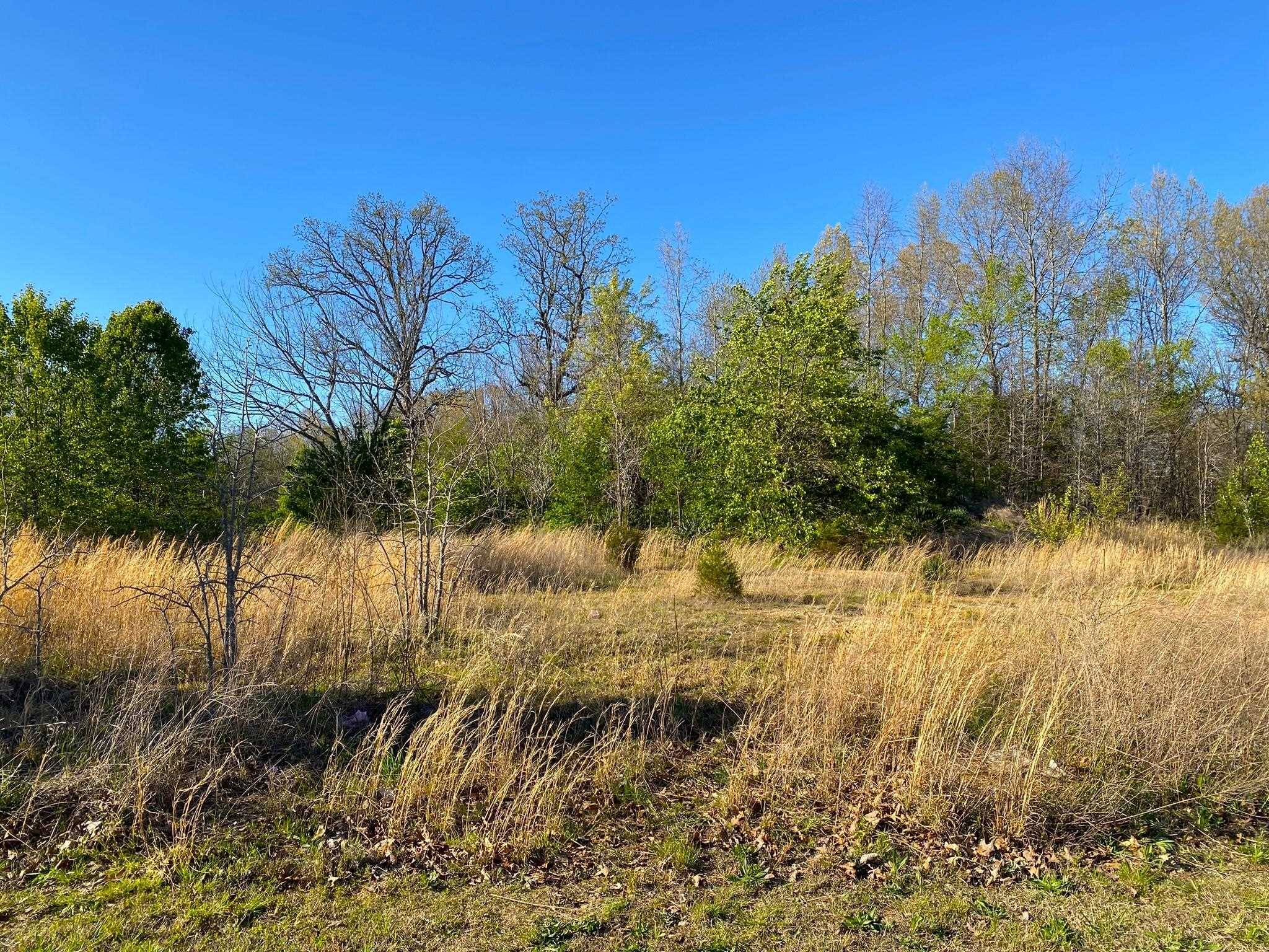 Mountain Home, AR 72653,Address not disclosed