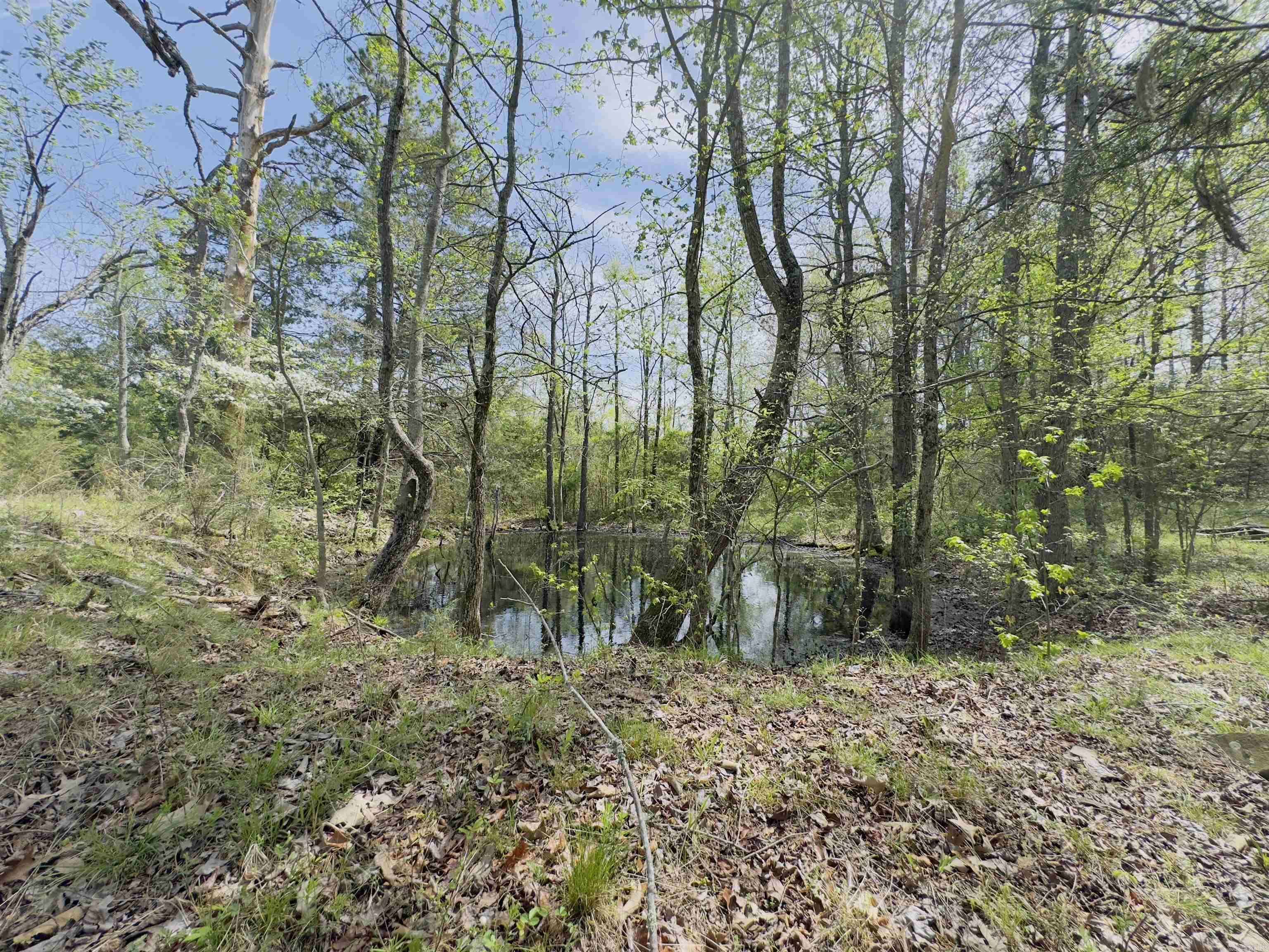 Melbourne, AR 72556,100A Fisher Road