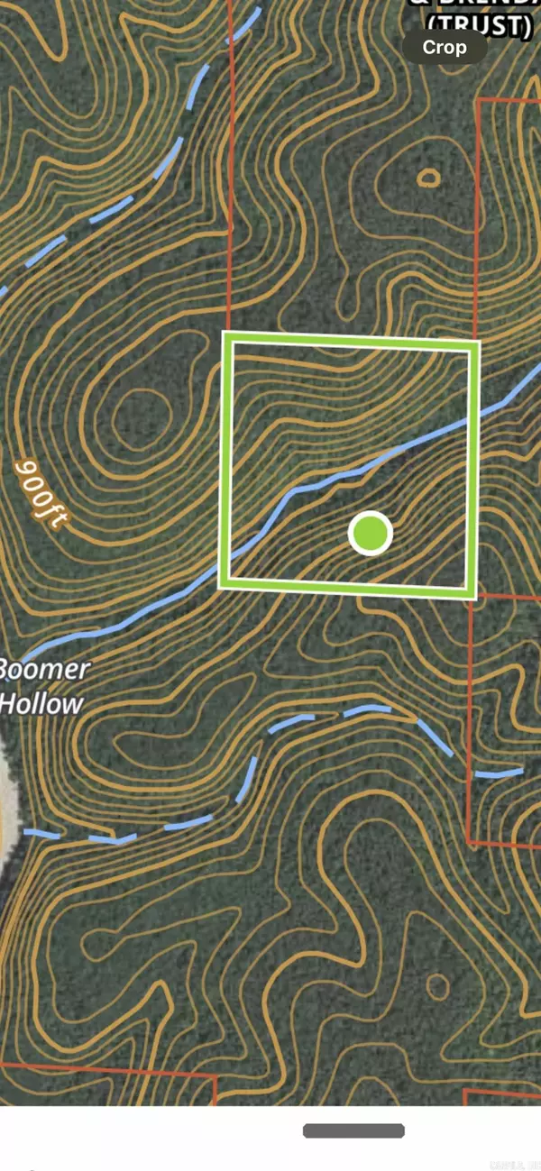 0080 Newton County, Western Grove, AR 99735