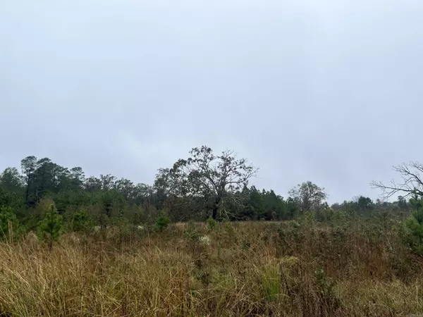 Leola, AR 72084,TBD Grant County 4