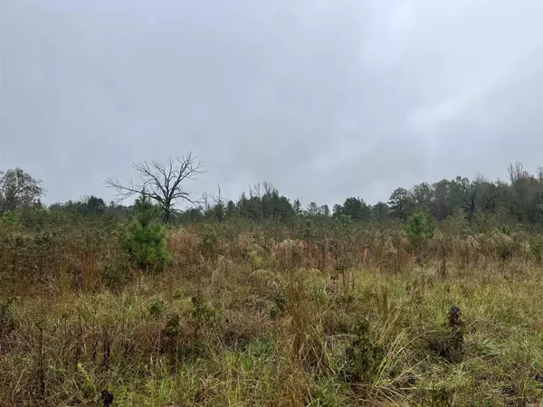 Leola, AR 72084,TBD Grant County 4