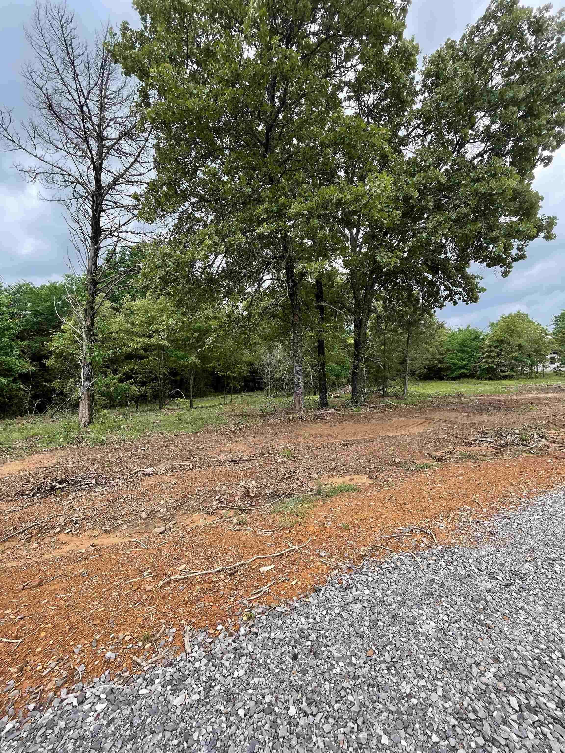 Twin Groves, AR 72039,TBD Heritage Lane