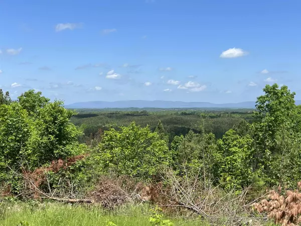 Mena, AR 71953,Lot 11 Polk Road 617