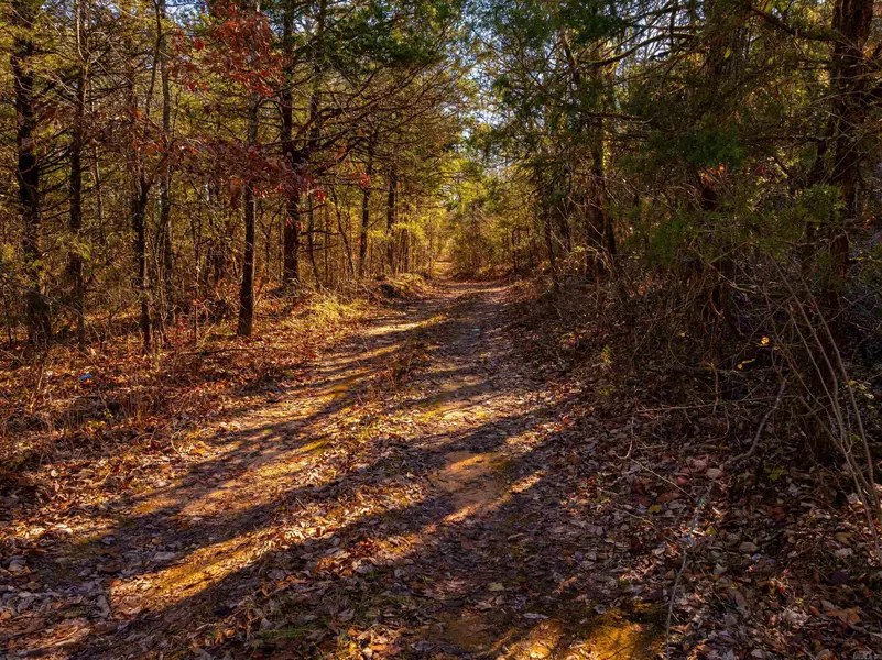 0 Providence Rd, Evening Shade, AR 72532