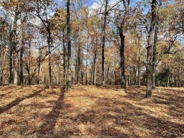 Horseshoe Bend, AR 72512,709 Primrose Lane