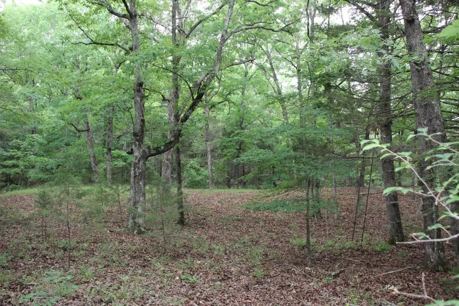 001-05594-000 MC 8012, Yellville, AR 72687