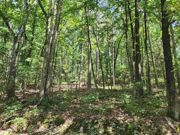 Hot Springs Village, AR 71901,12 Belmonte Lane