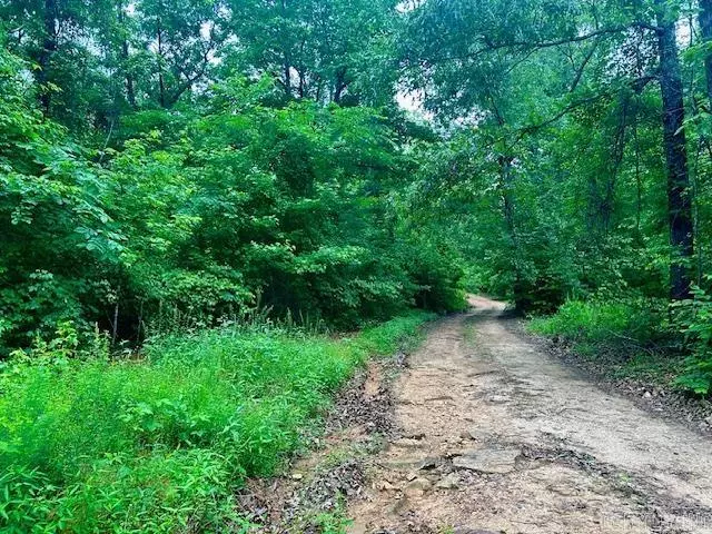 Mountain View, AR 72560,00 Martin Access Road