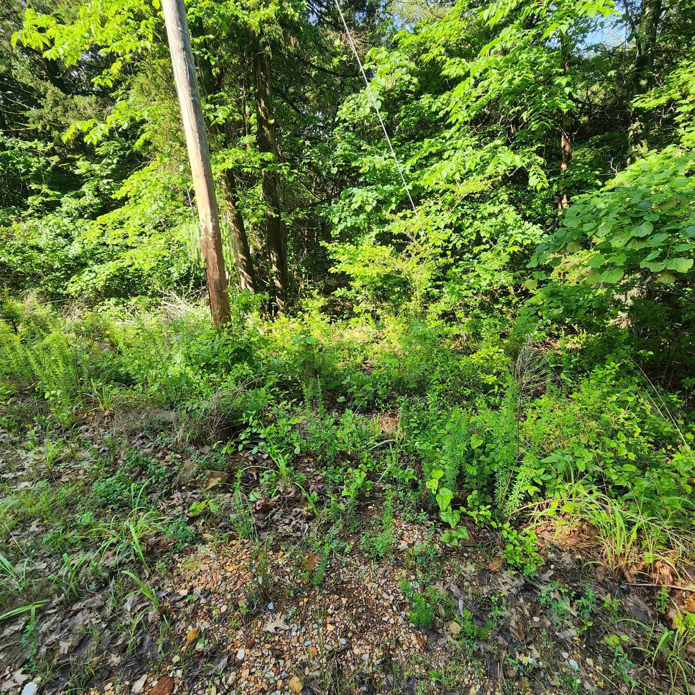 Hardy, AR 72542,L-9 B-10 Sherwood Forest Ln