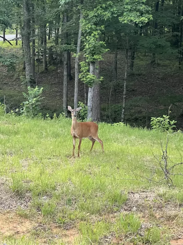 Benton, AR 72019,Lot 17 Kale Cove