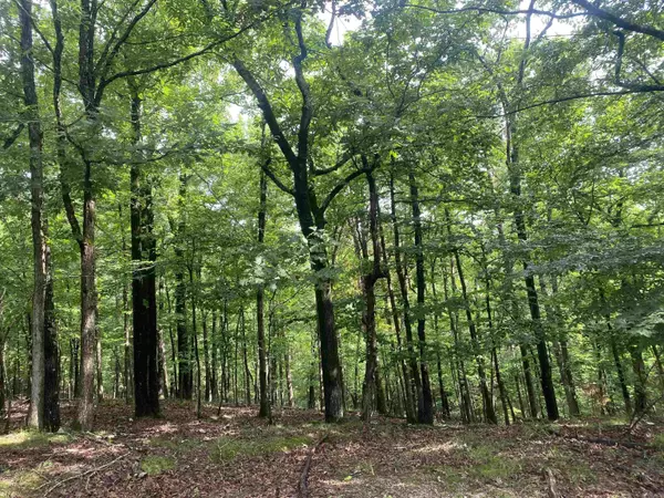 Hot Springs, AR 71901,00 Wafer Circle