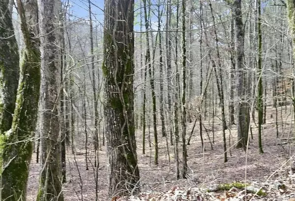 Amity, AR 71921,22 Highway 84