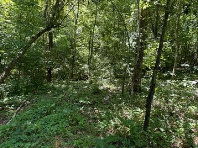 Harriet, AR 72639,001-03393-017 Hwy 14 S