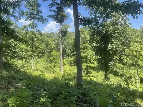 Hardy, AR 72542,000 Banks Road