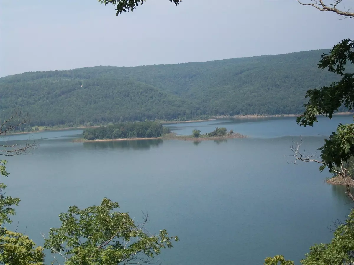 Edgemont, AR 72044,Lot 8 Bluff Drive