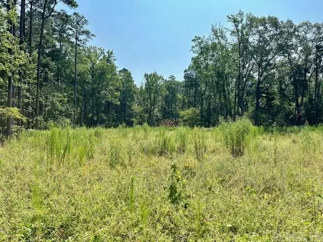 Pine Bluff, AR 71602,000 Hwy 104 Tract A