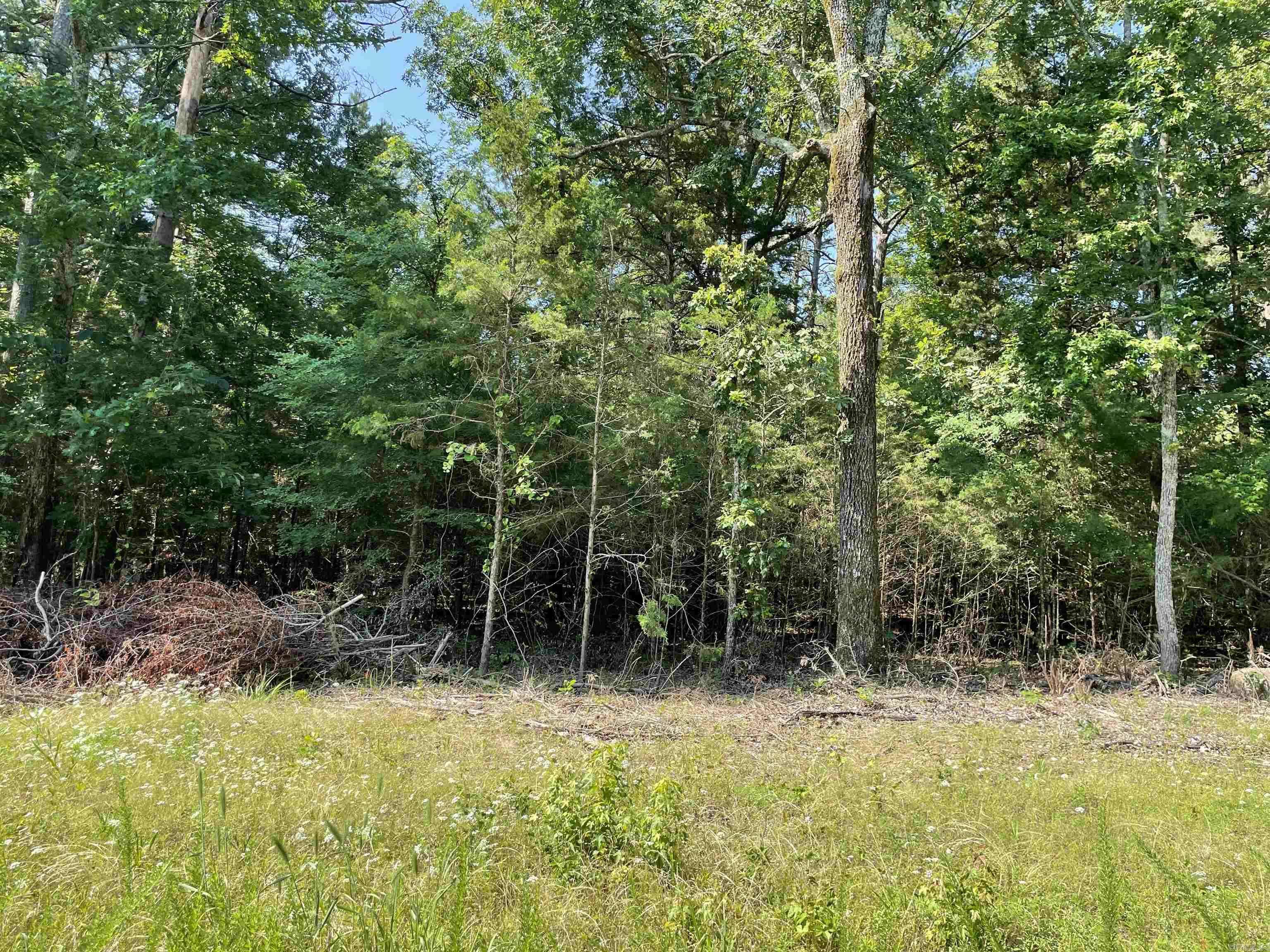 Greers Ferry, AR 72067,Lot 5 Pleasant Ridge Road
