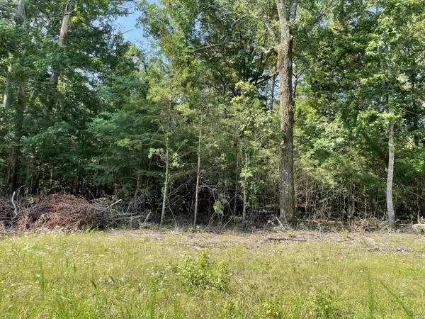 Greers Ferry, AR 72067,Lot 5 Pleasant Ridge Road