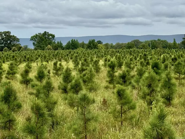 Mena, AR 71953,Tract 5 Serenity Lane