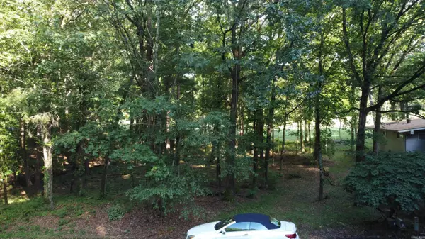 Hot Springs Village, AR 71909,2 Palacio Circle