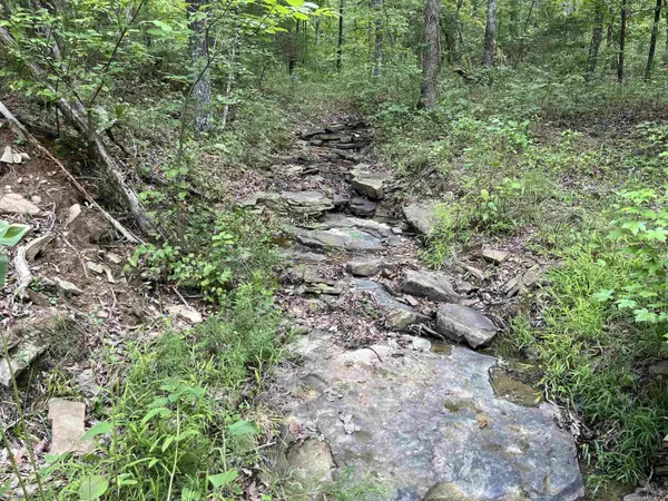 Marshall, AR 72650,Address not disclosed