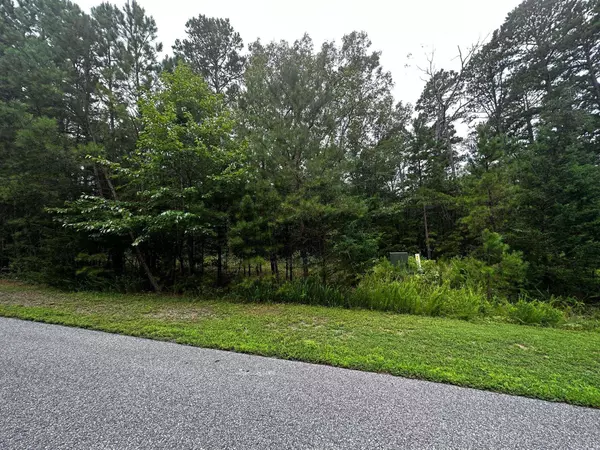 Shirley, AR 72153,Lot 88 Cobalt Bay Drive